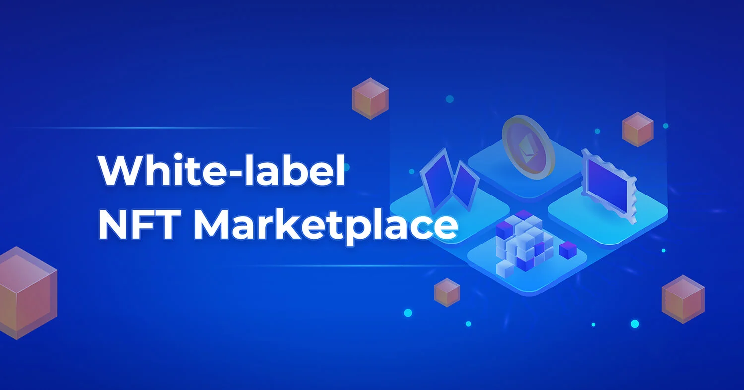 What Is A White Label NFT Marketplaces — A Beginner&#8217;s Guide