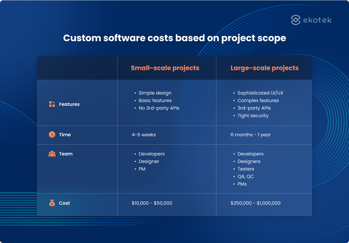 costs of custom software